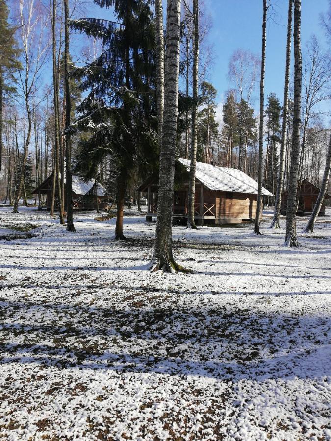 Kempings "Muiznieki" Renda Eksteriør bilde